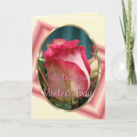 Pretty Coral Bi-colour Rose2- any occasion