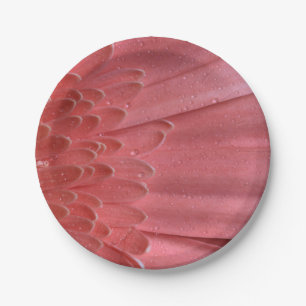 Pretty Coral Pink Gerbera Daisy Paper Plate