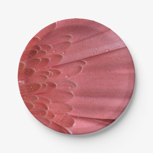 Pretty Coral Pink Gerbera Daisy Paper Plate (Front)