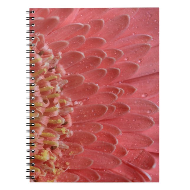 Pretty Coral Pink Gerbera Daisy Spiral Notebook (Front)