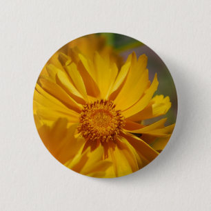 Pretty Coreopsis Flowers Button