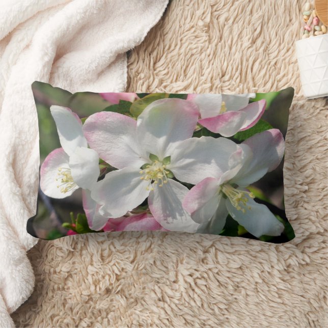 Pretty Crabapple Spring Flower Blossoms Close Up   Lumbar Cushion (Blanket)