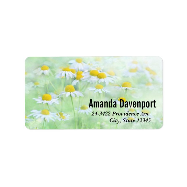 Pretty Daisies in a Field Photograph Label (Front)