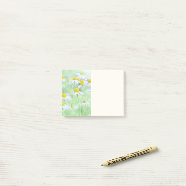 Pretty Daisies in a Field Photograph Post-it Notes (On Desk)