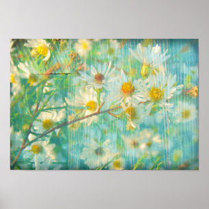 Pretty Daisies Poster