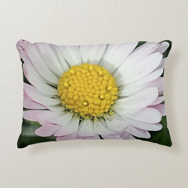 Pretty daisy decorative cushion (Front)