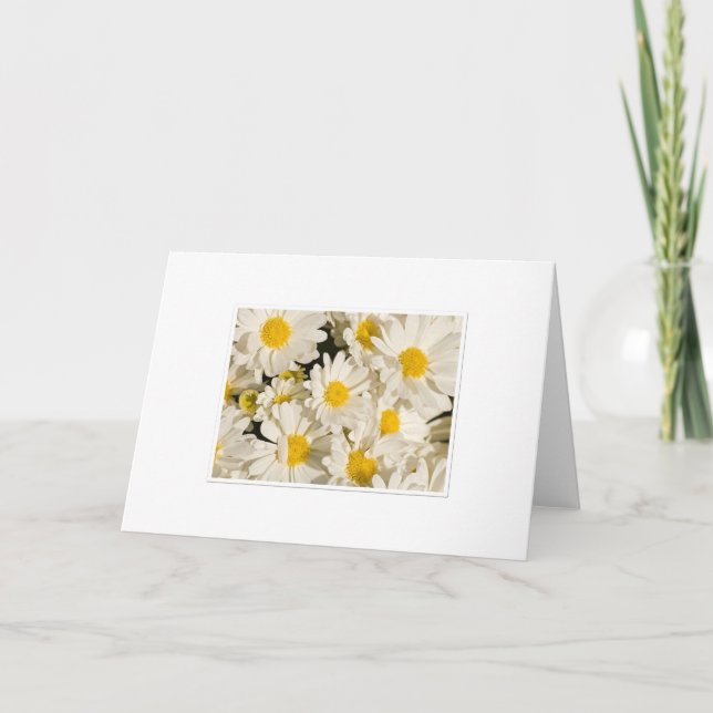 Pretty Daisy Greetings Card (Front)