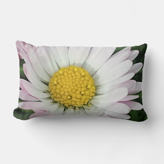 Pretty daisy lumbar cushion (Front)