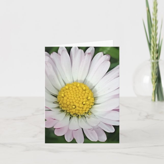 Pretty daisy note card (Front)