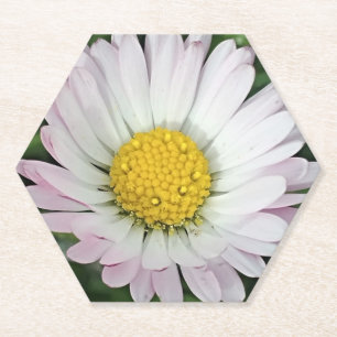 Pretty daisy paper coaster