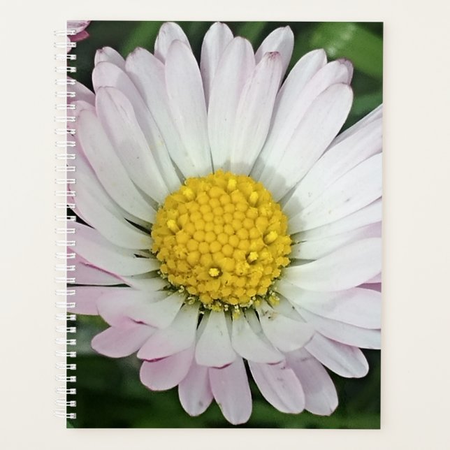 Pretty daisy planner (Front)