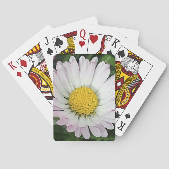 Pretty daisy playing cards (Back)