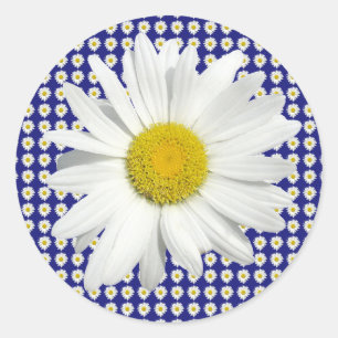 Pretty Daisy Stickers