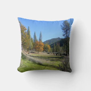 Pretty day in the valley... cushion