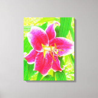 Pretty Deep Pink Stargazer Lily on Lime Green Canvas Print