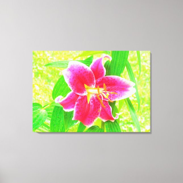 Pretty Deep Pink Stargazer Lily on Lime Green Canvas Print (Front)