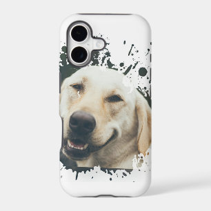 Pretty Dog