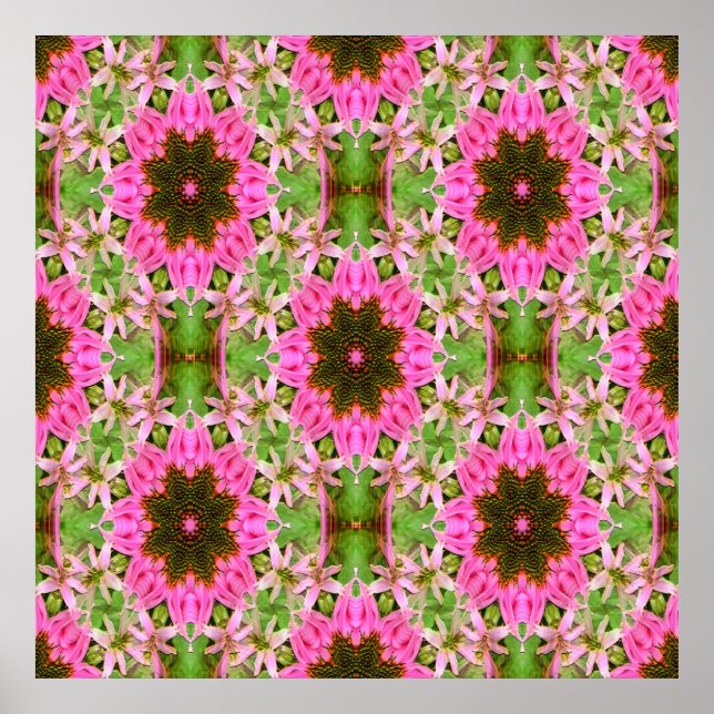 Pretty Echanicea...... Poster (Front)