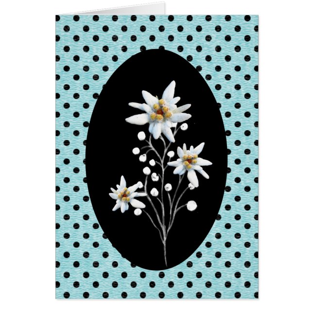 Pretty Edelweiss Flowers on Polka Dots (Front)