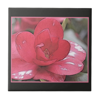 Pretty, elegant pink camellia flower tile