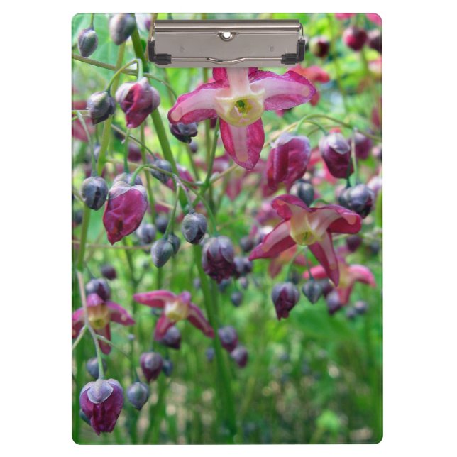 Pretty Epimedium (Fairy Wings) Flower Spring Photo Clipboard (Front)
