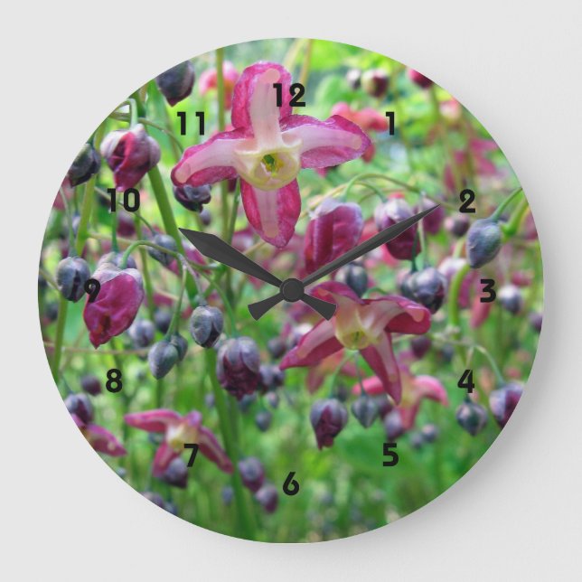 Pretty Epimedium (Fairy Wings) Spring Flower Photo Large Clock (Front)