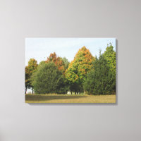 Pretty Fall Leaves Photograph from Wisconsin Art