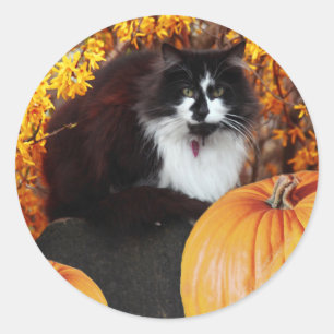 Pretty Fall Sticker