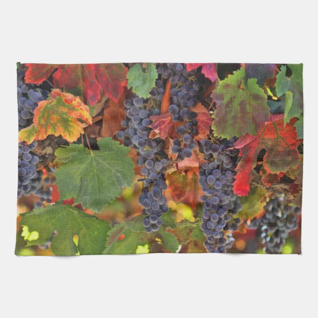 Pretty Fall Vineyard Wine Kitchen Towel (Horizontal)