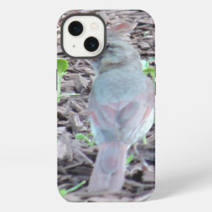 Pretty Female Cardinal Cell Phone Case