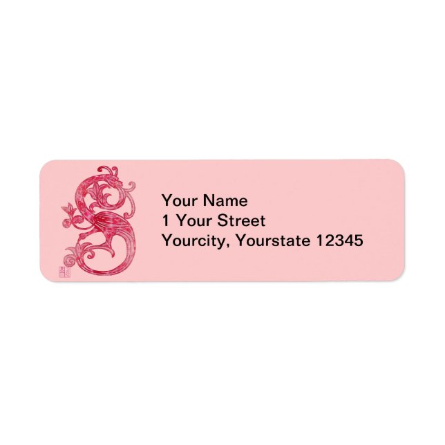 Pretty Feminine Mediaeval Pink Fantasy Dragon (Front)