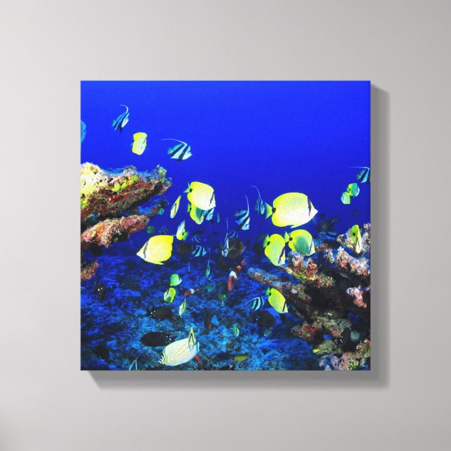 Pretty Fish And Coral Reef Canvas Print (Front)