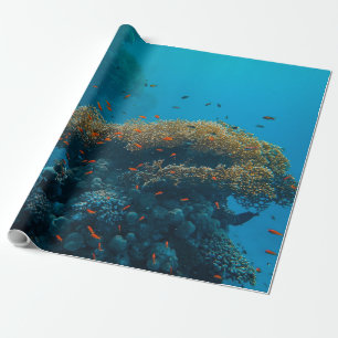 Pretty Fishes And Reefs Wrapping Paper
