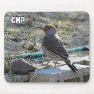Pretty Flicker Bird Mouse Pad
