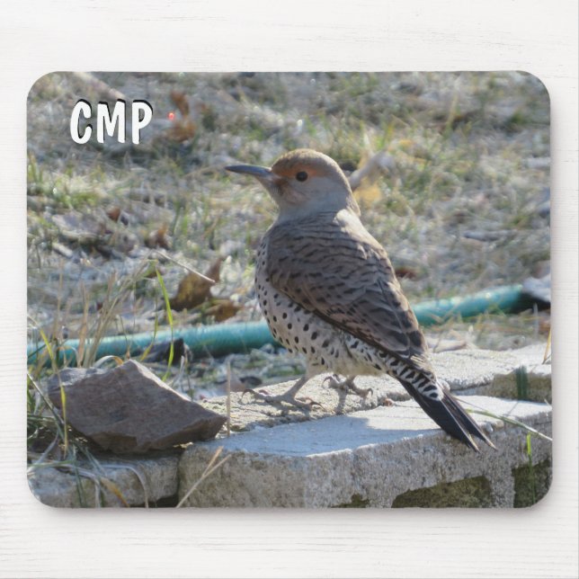 Pretty Flicker Bird Mouse Pad (Front)