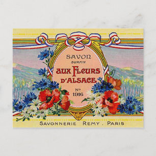 Pretty Floral French Vintage Aux Fleurs D'Alsace Postcard