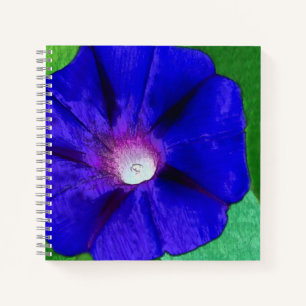 Pretty Floral Notebook