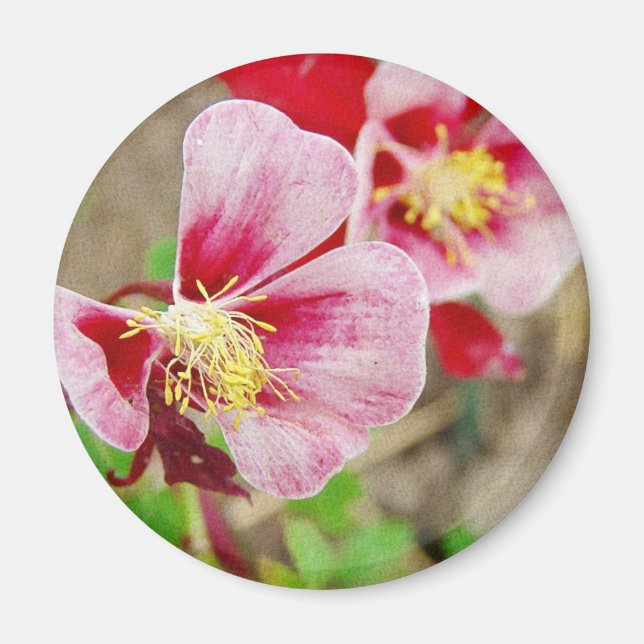 Pretty Flower 2 Magnet (Front)