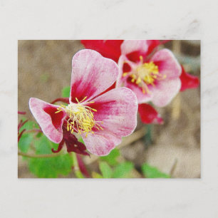 Pretty Flower 2 Postcard