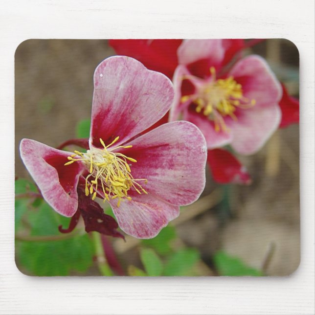 Pretty Flower Mouse Pad (Front)