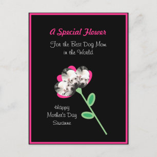 Pretty Flower of Cute Puppy Dog Best Mum Hot Pink Postcard