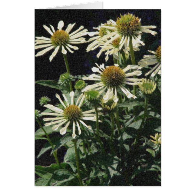 Pretty Flowers (Front)