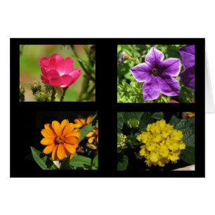 Pretty Flowers Collection