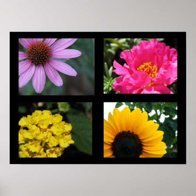 Pretty Flowers Collection Poster (Front)
