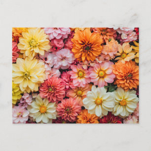 Pretty Flowers Colourful Floral Pattern Beautiful Postcard