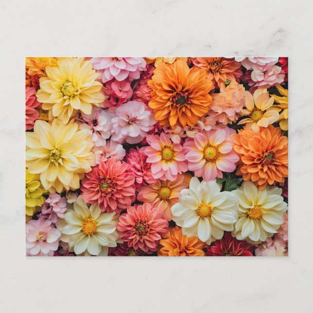 Pretty Flowers Colourful Floral Pattern Beautiful Postcard (Front)