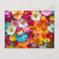 Pretty Flowers Colourful Floral Pattern Beautiful