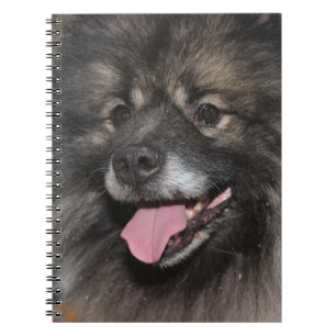 PRETTY FLUFFY GRAY KEESHOND DOG NOTEBOOK