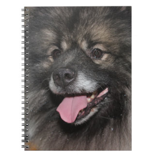 PRETTY FLUFFY GRAY KEESHOND DOG NOTEBOOK