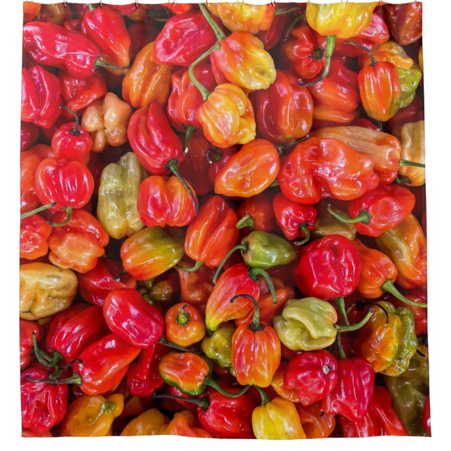 Pretty Food Shower Curtain (Front)